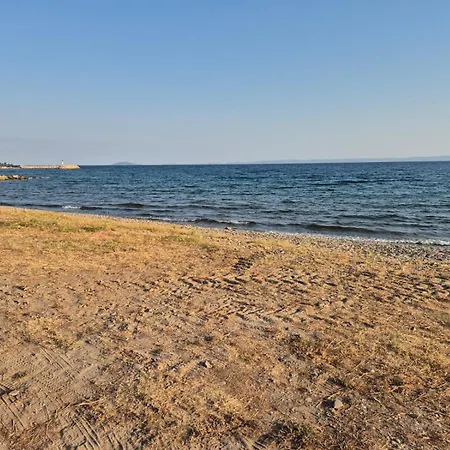 Kamelia * Nikiti (Sithonia)